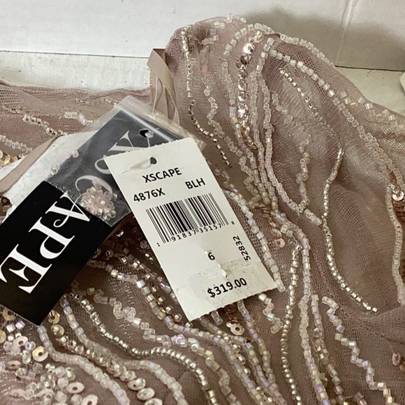 Xscape Evenings Long Chiffon Dress with Illusion Sequin Long Sleeves (Blush) - Picture 11 of 11